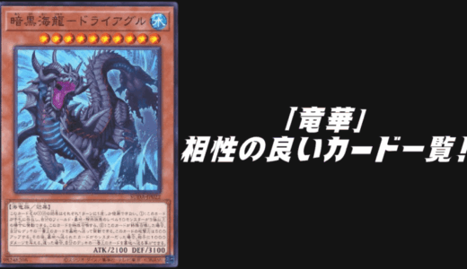 「竜華」と相性の良いカード12選！【遊戯王OCG】