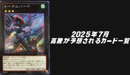 2025年7月にシングル価格の高騰が予想されるカード6選！【遊戯王OCG】
