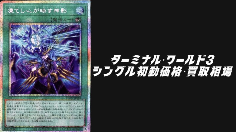 ターミナルワールド3買取